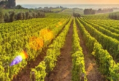 algarve-views-terca-feira