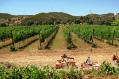 algarve_views_quinta_rosa_03