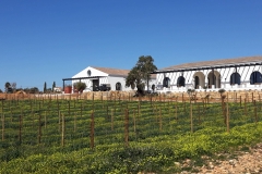 algarve_views_quinta_dos_santos_01-1