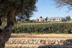algarve_views_quinta_dos_santos_02