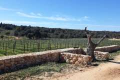 algarve_views_quinta_dos_santos_04