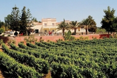 algarve_views_quinta_dos_vales_01