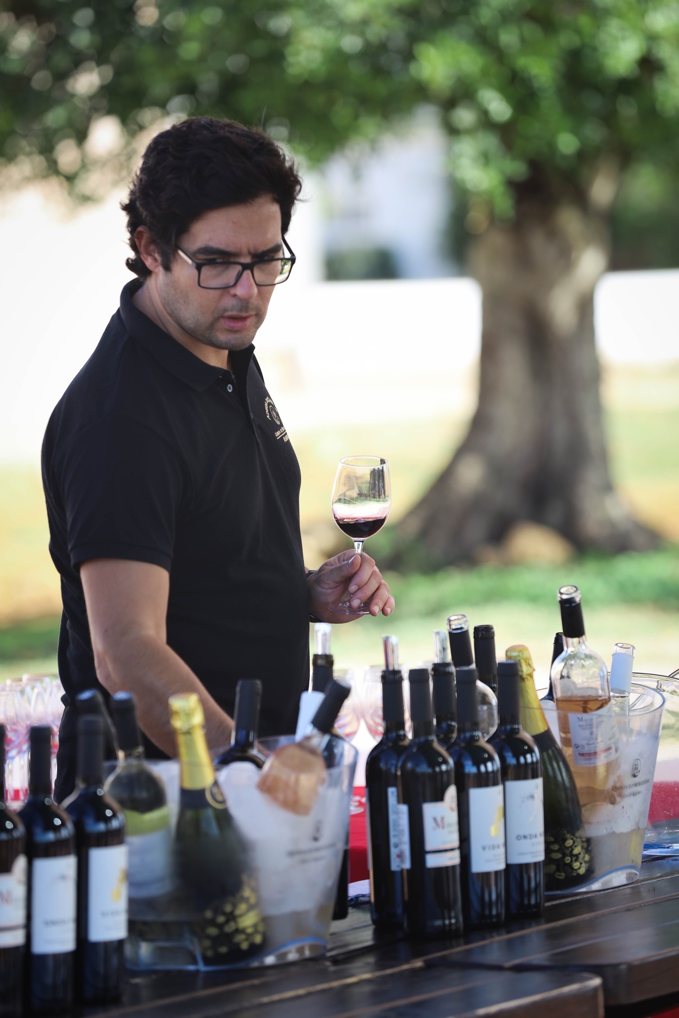 WINE & FOOD SESSION – Adega do Cantor Wines